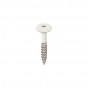 Wit heering torx schroef rvs 32 (2890)