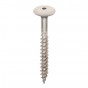 Crème torx schroef 45mm heering (2895)