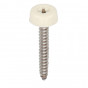 Polytop schroeven RVS - Heering (100 st) creme 40mm (2694)
