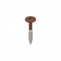 golden oak keralit torx schroef rvs 32 mm (2890)
