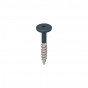 monumentenblauw keralit torx schroef rvs 32 mm (2890)