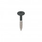 monumentengroen keralit torx schroef rvs 32 mm (2890)
