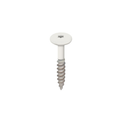 Wit heering torx schroef rvs 32 (2890)
