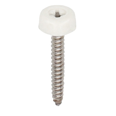Polytop schroeven RVS - Heering (100 st) verkeerswit 40mm (2694)