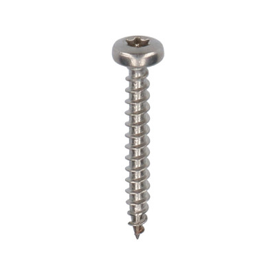 Torx rvs schroef 30 mm 200 st Keralit (2801)