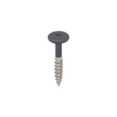 antraciet keralit torx schroef rvs 32 mm (2890)