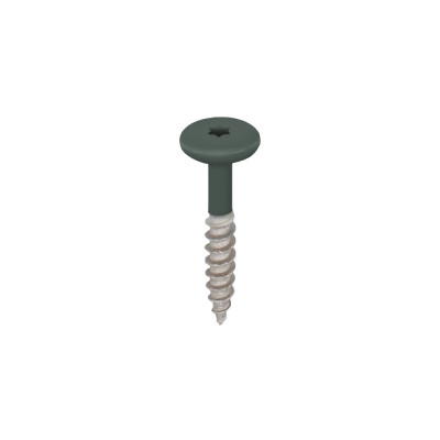 donkergroen keralit torx schroef rvs 32 mm (2890)