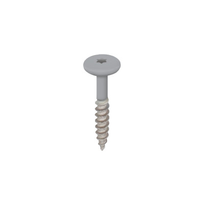grijs keralit torx schroef rvs 32 mm (2890)