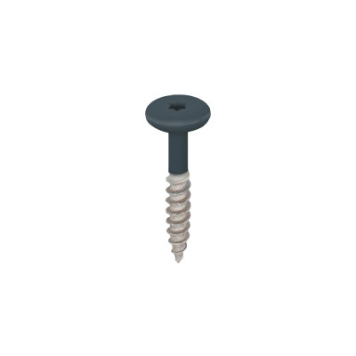 monumentenblauw keralit torx schroef rvs 32 mm (2890)
