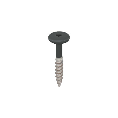 monumentengroen keralit torx schroef rvs 32 mm (2890)