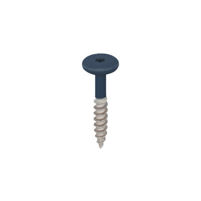 staalblauw keralit torx schroef rvs 32 mm (2890)