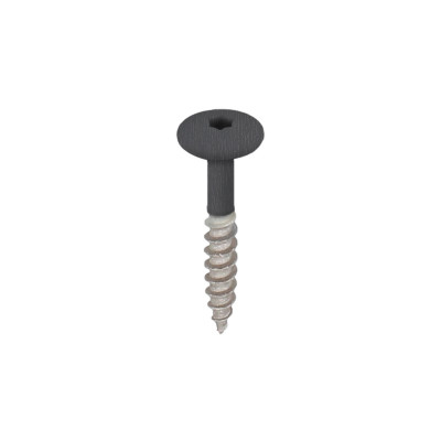 zwartgrijs keralit torx schroef rvs 32 mm (2890)