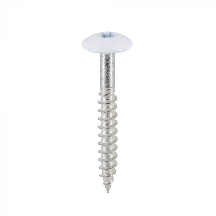 Crème Torx rvs schroef 4.8 x 38 mm 100 st. kleur
