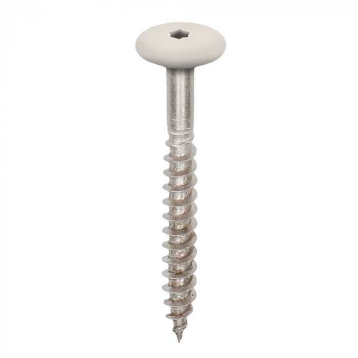Crème torx schroef 45mm heering (2895)