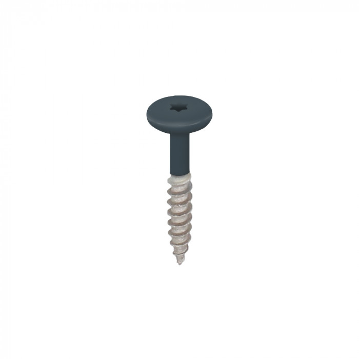 monumentenblauw keralit torx schroef rvs 32 mm (2890)