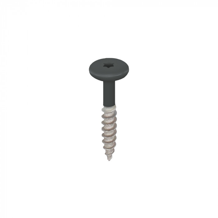 monumentengroen keralit torx schroef rvs 32 mm (2890)