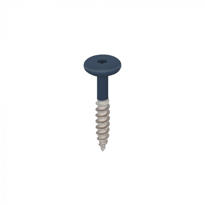 staalblauw keralit torx schroef rvs 32 mm (2890)